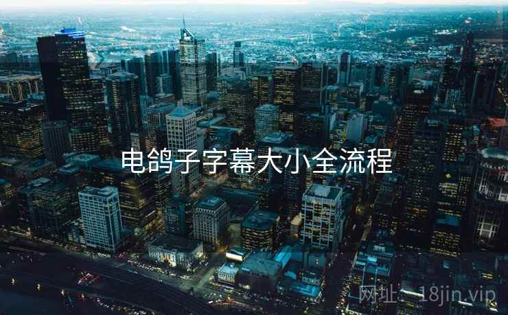 电鸽子字幕大小全流程