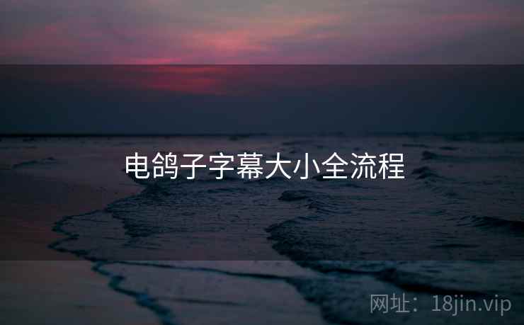 电鸽子字幕大小全流程