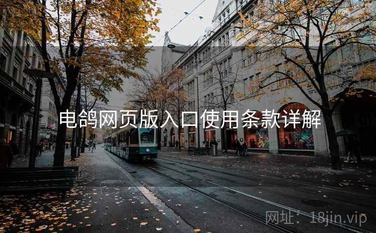 电鸽网页版入口使用条款详解