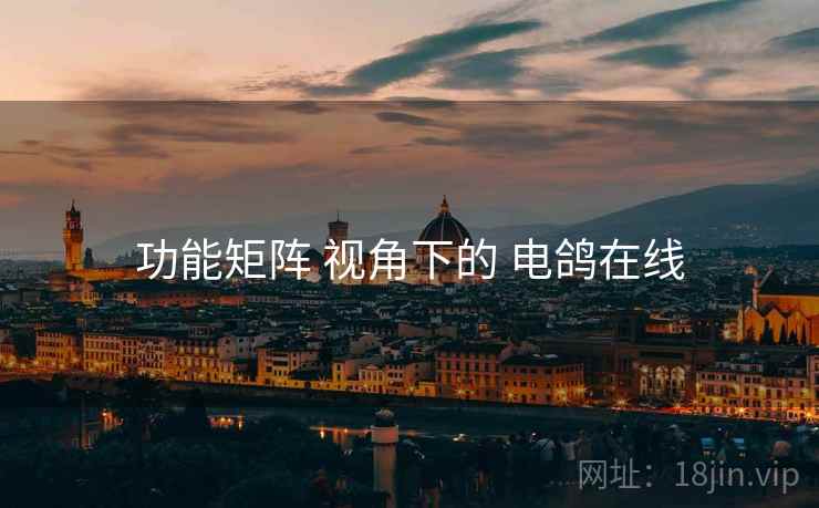 功能矩阵 视角下的 电鸽在线