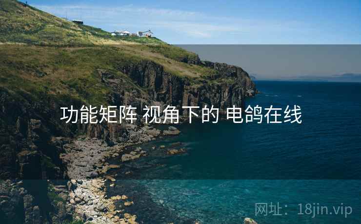 功能矩阵 视角下的 电鸽在线