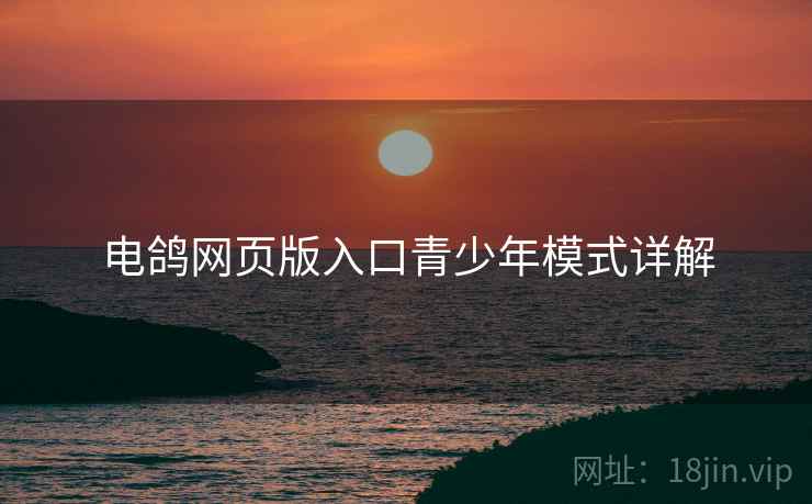 电鸽网页版入口青少年模式详解