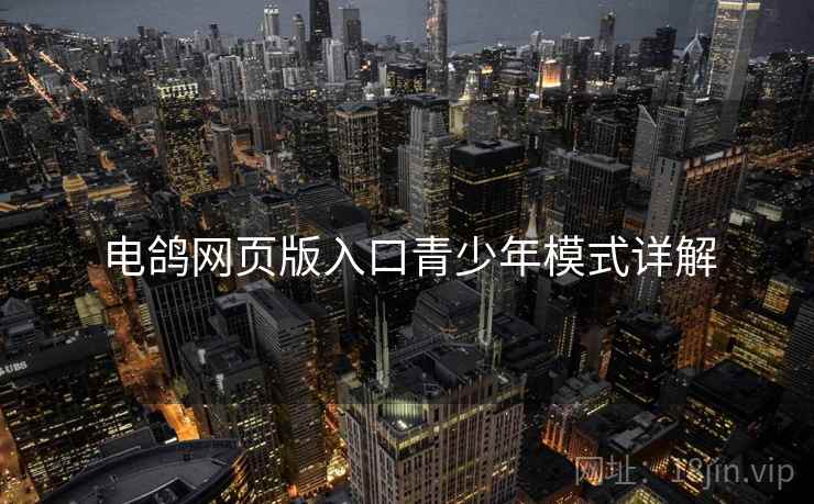 电鸽网页版入口青少年模式详解