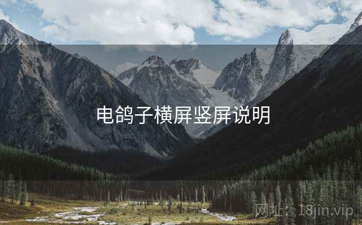 电鸽子横屏竖屏说明
