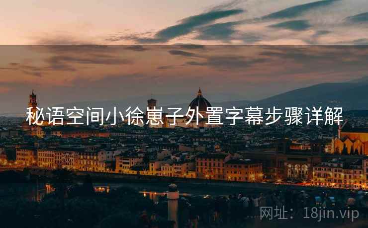 秘语空间小徐崽子外置字幕步骤详解