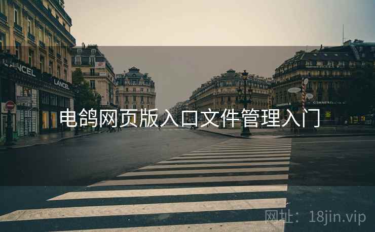 电鸽网页版入口文件管理入门
