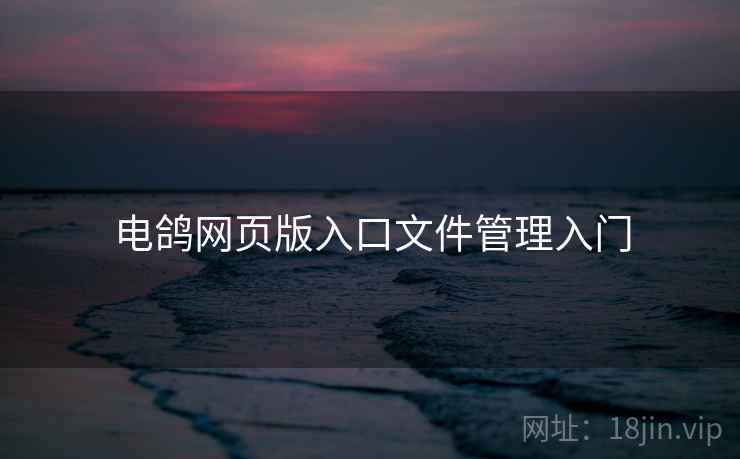 电鸽网页版入口文件管理入门