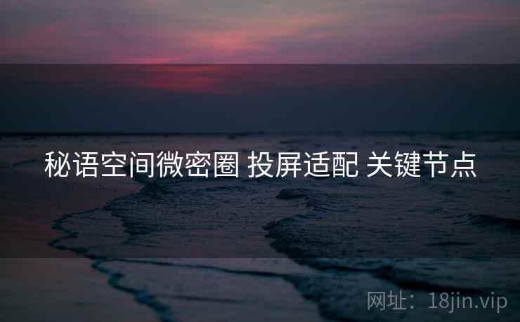 秘语空间微密圈 投屏适配 关键节点