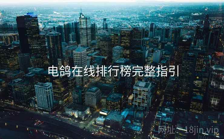 电鸽在线排行榜完整指引