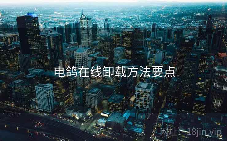 电鸽在线卸载方法要点