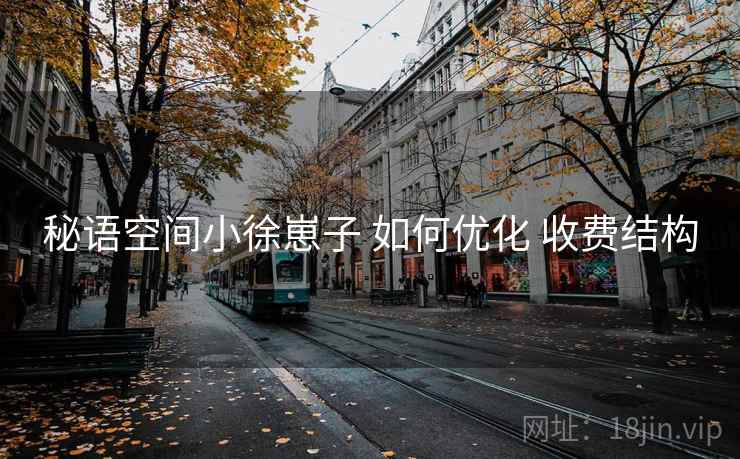 秘语空间小徐崽子 如何优化 收费结构