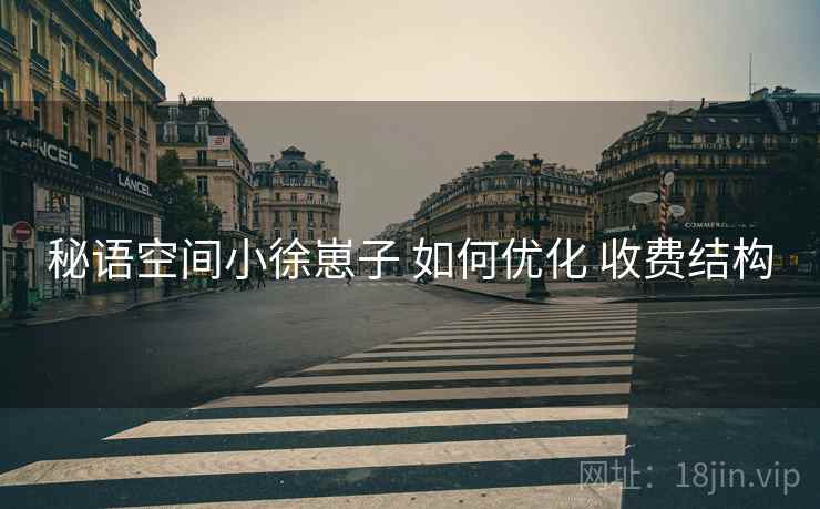 秘语空间小徐崽子 如何优化 收费结构