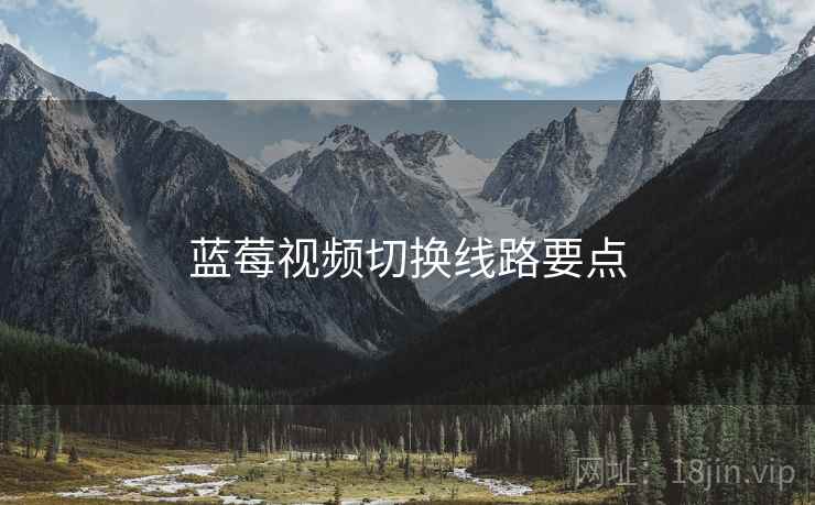 蓝莓视频切换线路要点