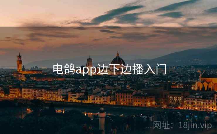 电鸽app边下边播入门