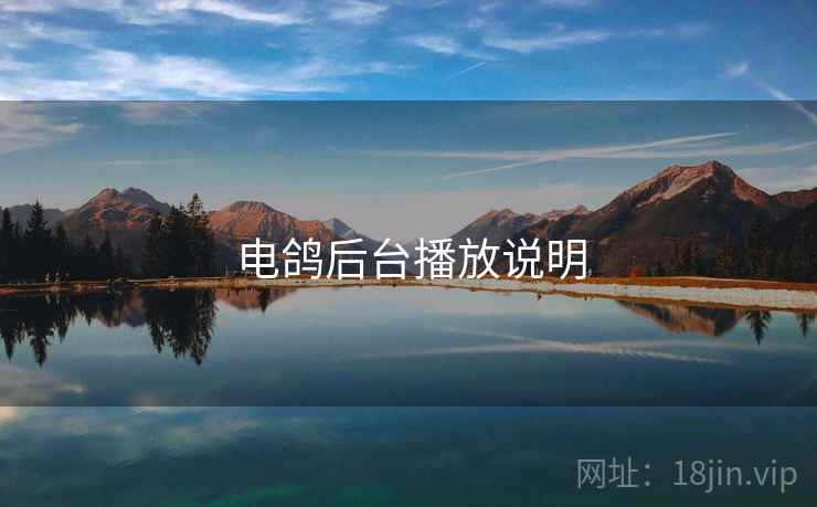 电鸽后台播放说明