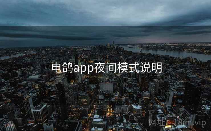 电鸽app夜间模式说明