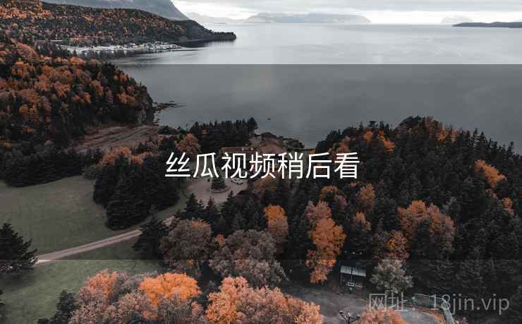 丝瓜视频稍后看