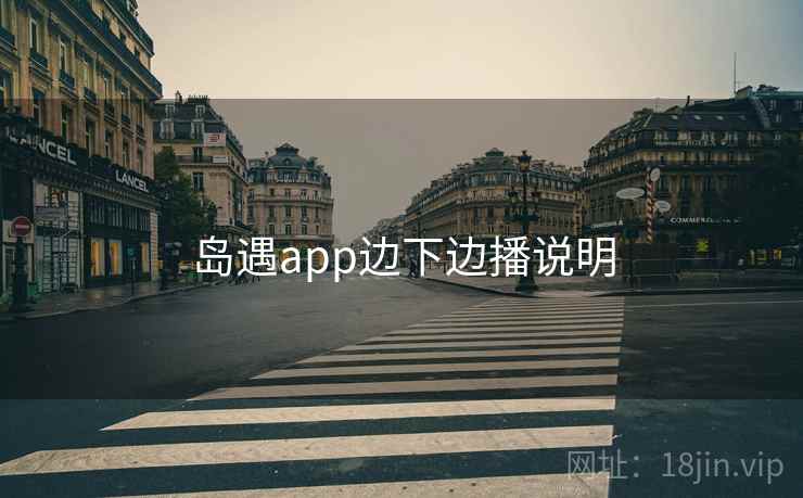 岛遇app边下边播说明