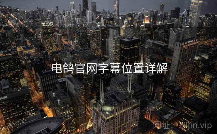 电鸽官网字幕位置详解