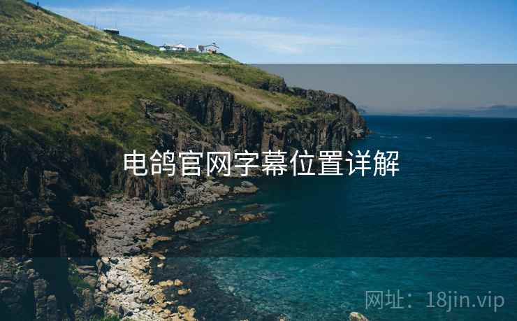 电鸽官网字幕位置详解