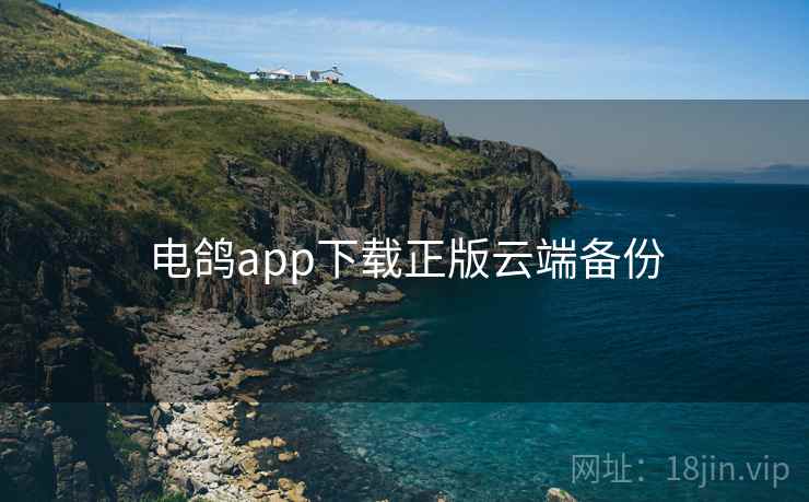 电鸽app下载正版云端备份