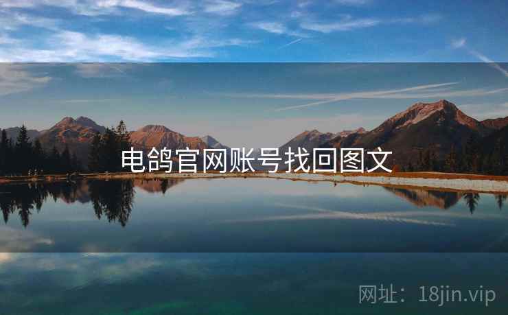 电鸽官网账号找回图文