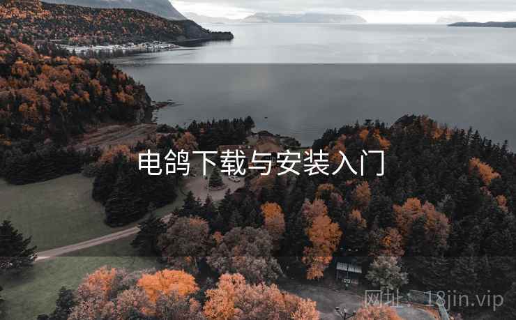 电鸽下载与安装入门