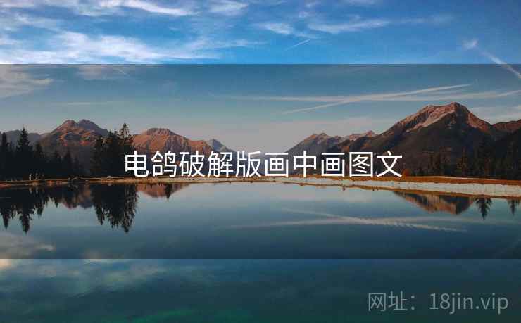 电鸽破解版画中画图文