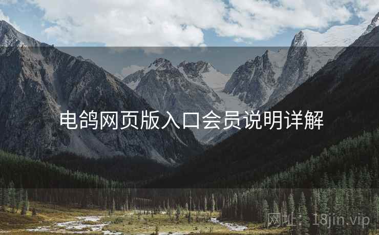 电鸽网页版入口会员说明详解