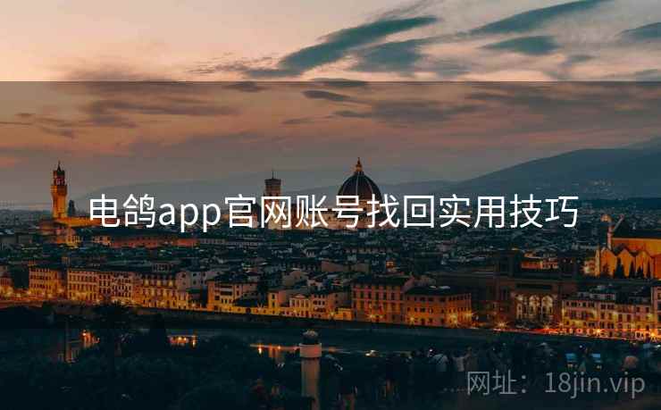 电鸽app官网账号找回实用技巧