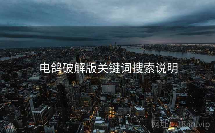 电鸽破解版关键词搜索说明