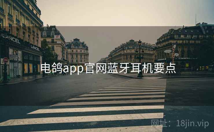 电鸽app官网蓝牙耳机要点
