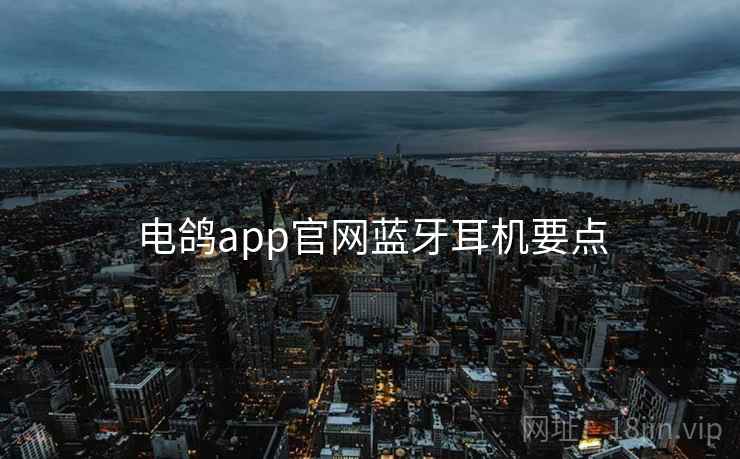 电鸽app官网蓝牙耳机要点