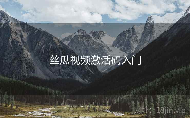 丝瓜视频激活码入门