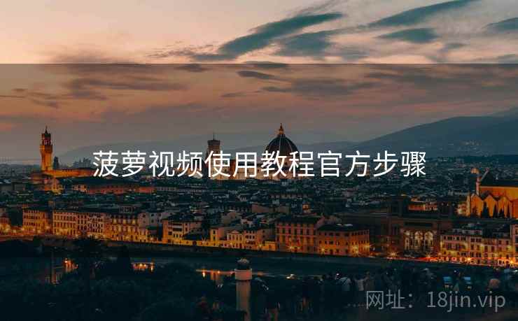 菠萝视频使用教程官方步骤