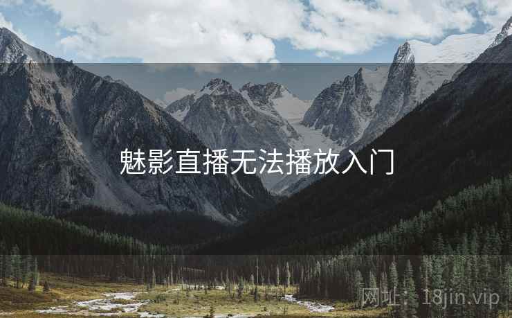 魅影直播无法播放入门