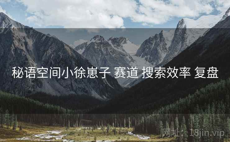 秘语空间小徐崽子 赛道 搜索效率 复盘