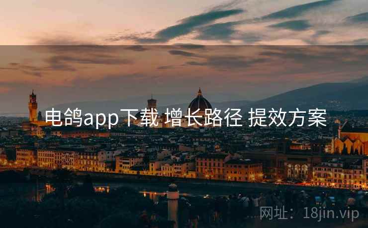 电鸽app下载 增长路径 提效方案