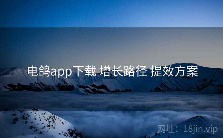 电鸽app下载 增长路径 提效方案