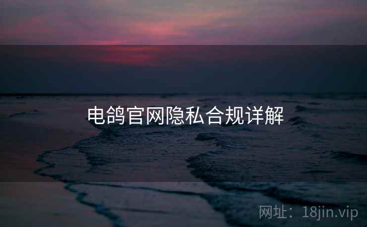 电鸽官网隐私合规详解