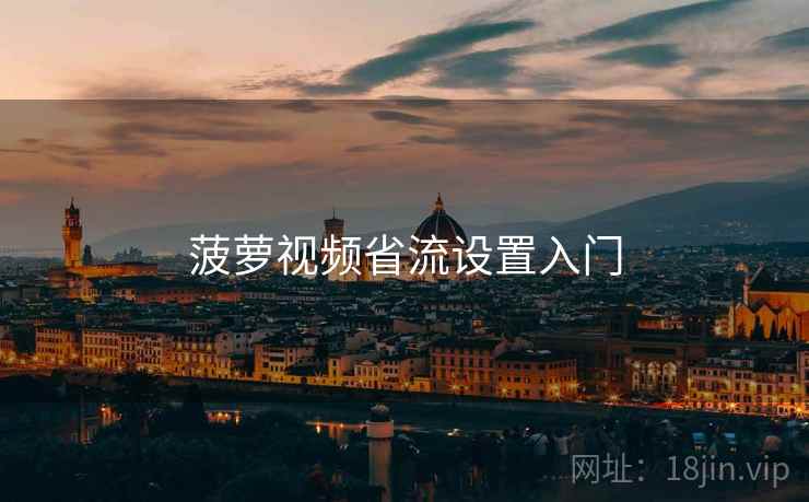 菠萝视频省流设置入门