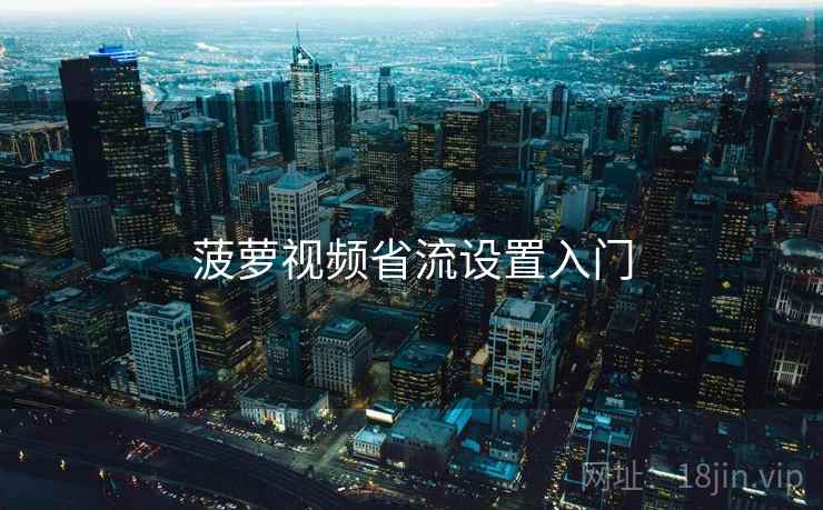 菠萝视频省流设置入门