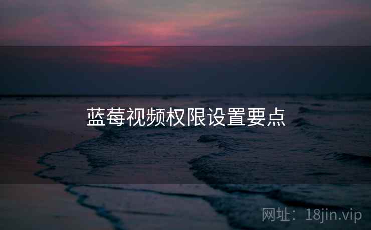 蓝莓视频权限设置要点